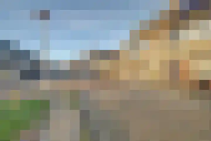 Bonnetpad 20 Spijkenisse thumbnail 35