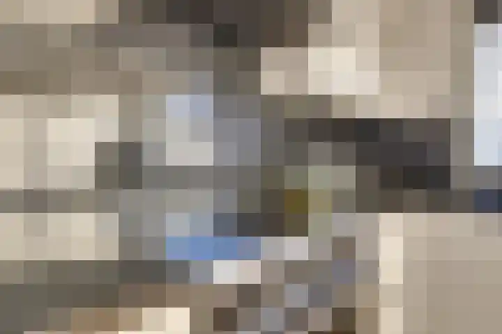 Bonnetpad 20 Spijkenisse thumbnail 4