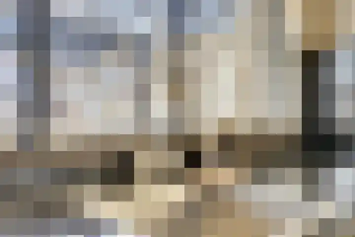 Bonnetpad 20 Spijkenisse thumbnail 5