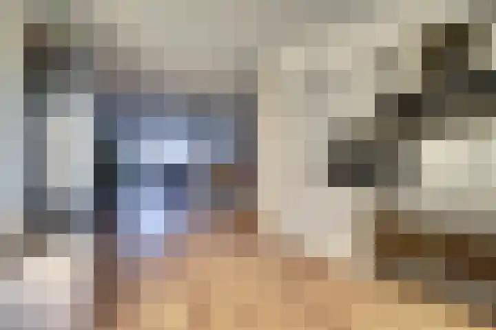Bonnetpad 20 Spijkenisse thumbnail 6