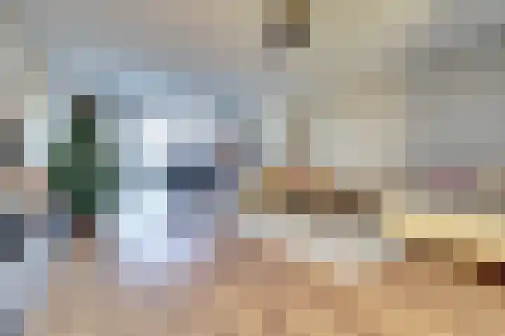 Bonnetpad 20 Spijkenisse thumbnail 8