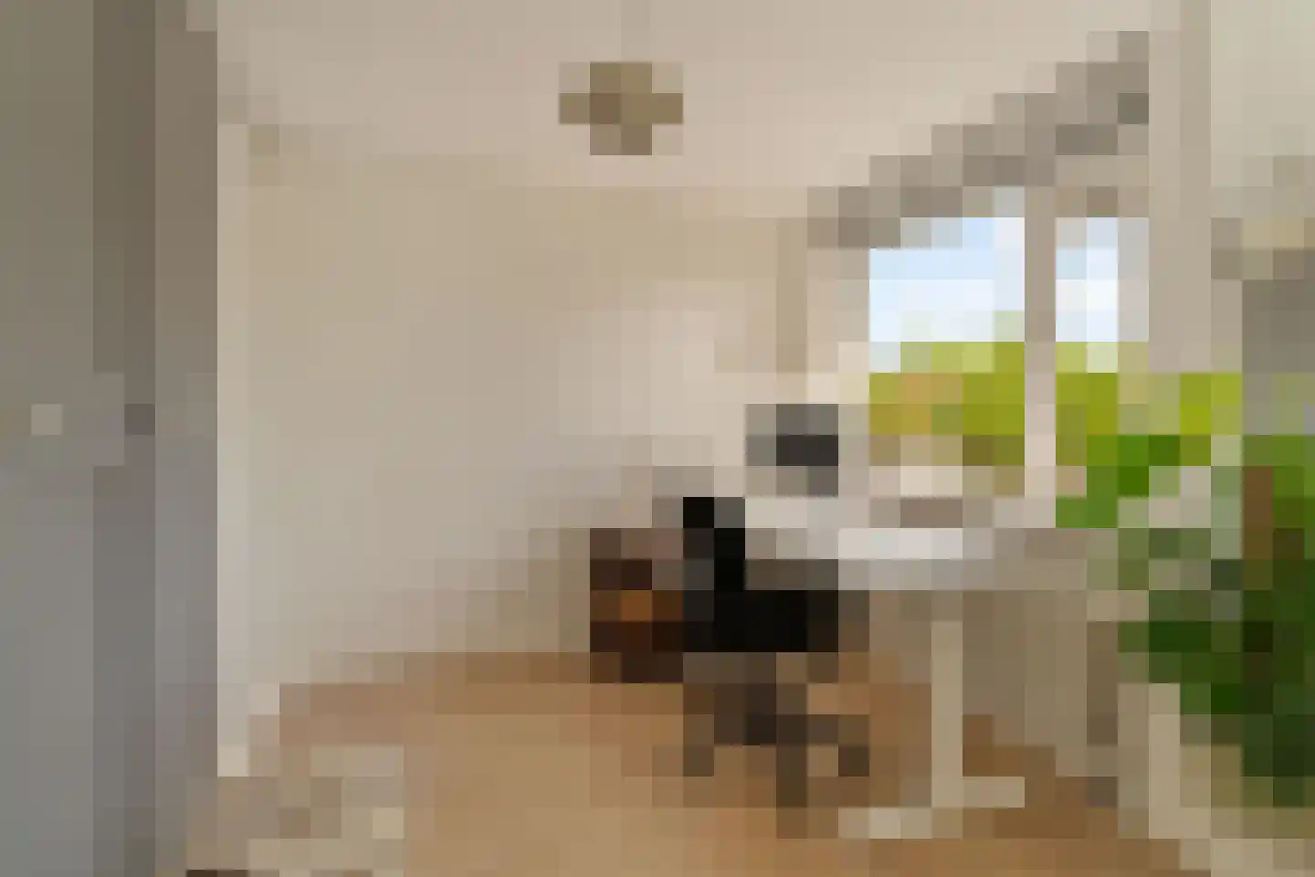 Bonnikeplein 131 Noordwijk thumbnail 19