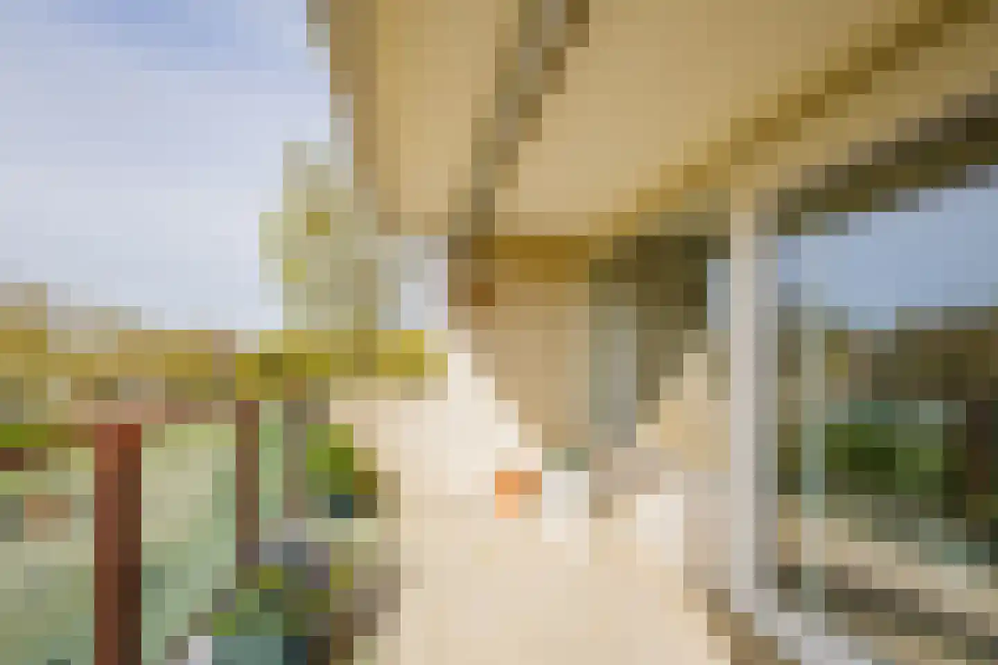 Bonnikeplein 43 Noordwijk thumbnail 13