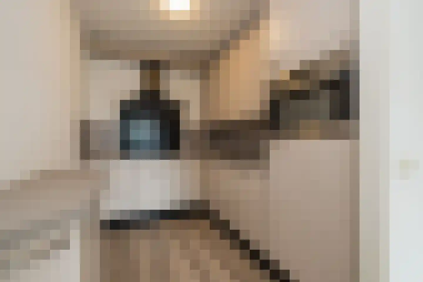 Bonnikeplein 99 Noordwijk thumbnail 7