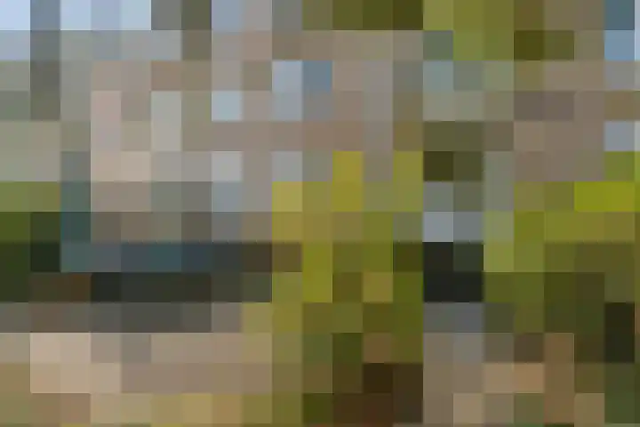 Bonnikestraat 26 Hilversum thumbnail 17