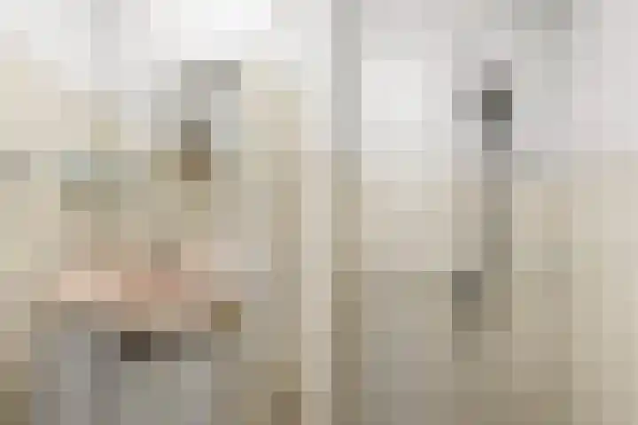 Bonnikestraat 26 Hilversum thumbnail 22
