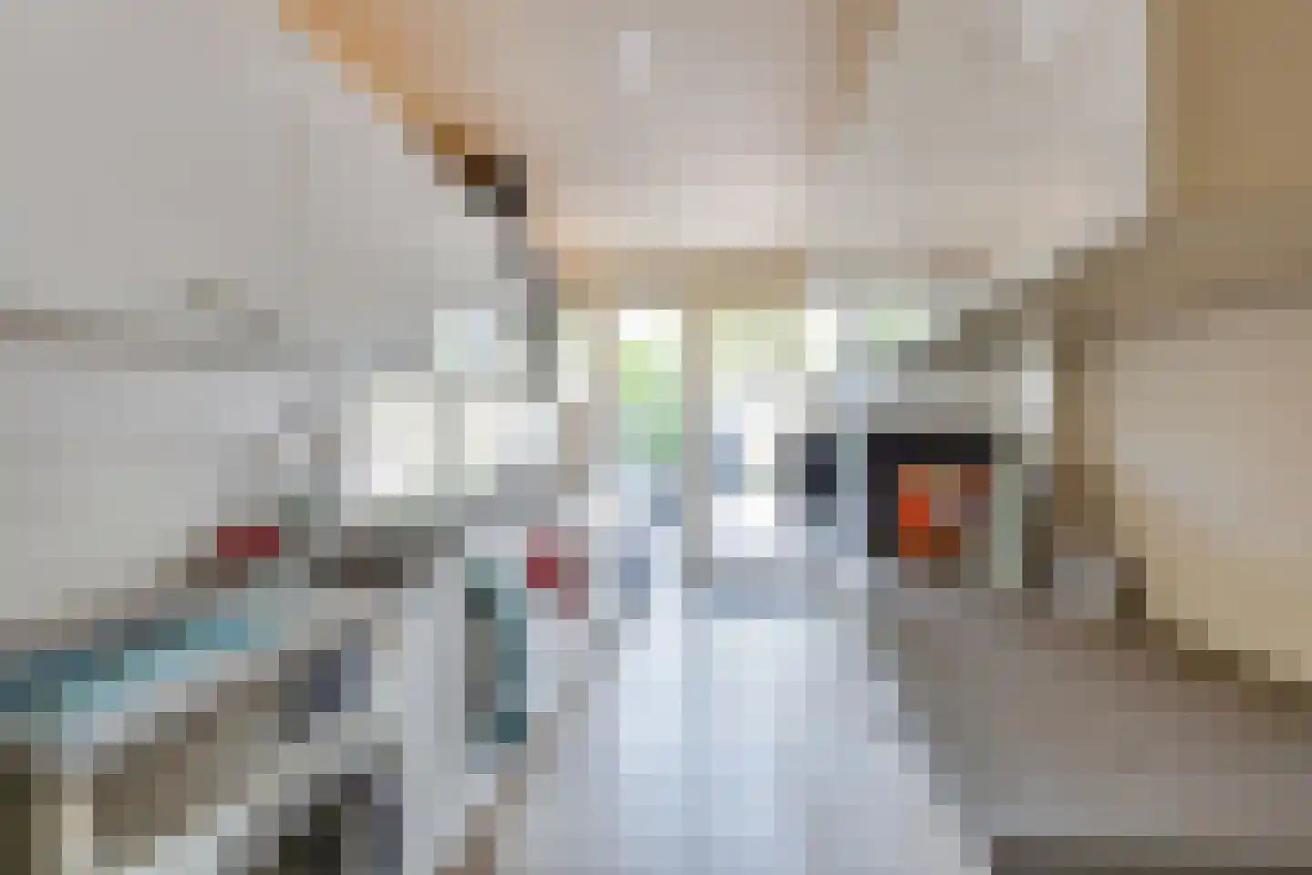 Bonnikestraat 41 Hilversum thumbnail 8