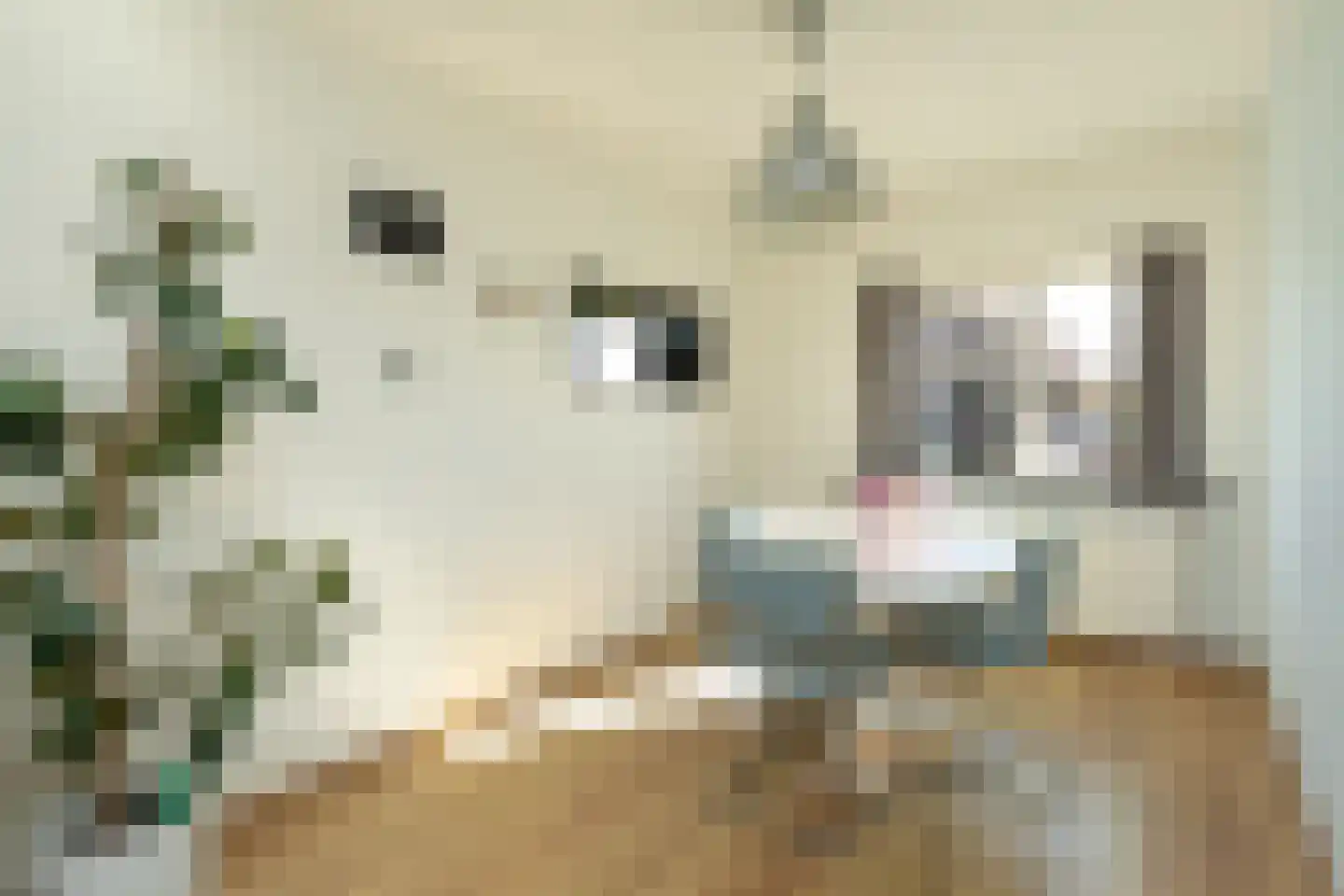 Bonnikestraat 72 Hilversum thumbnail 10