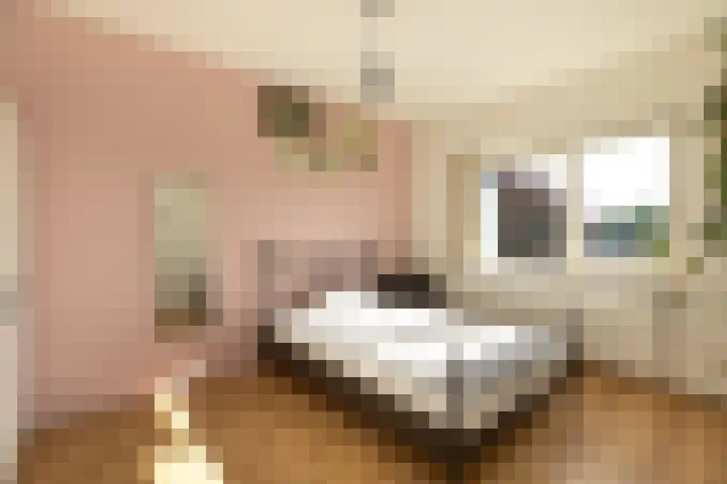 Bonnikestraat 72 Hilversum thumbnail 17