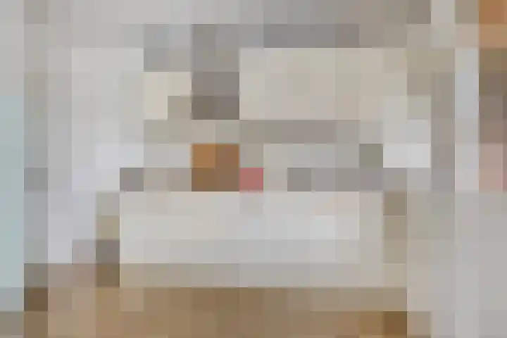 Bonningastrjitte 62 Oppenhuizen thumbnail 10