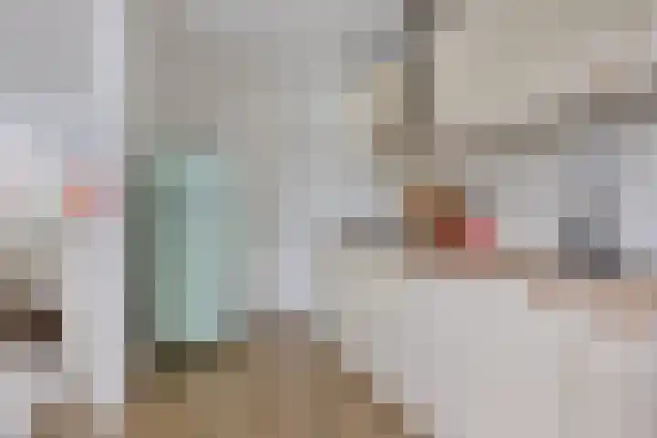 Bonningastrjitte 62 Oppenhuizen thumbnail 11