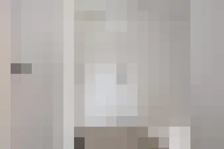 Bonningastrjitte 62 Oppenhuizen thumbnail 15
