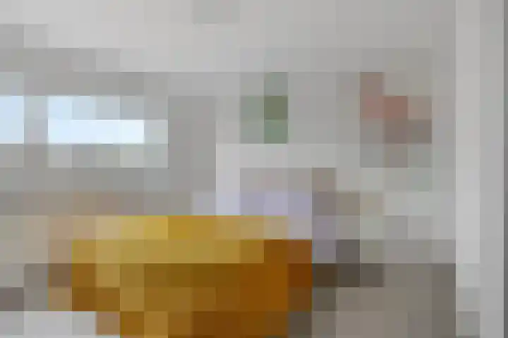 Bonningastrjitte 62 Oppenhuizen thumbnail 16
