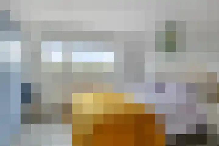 Bonningastrjitte 62 Oppenhuizen thumbnail 17