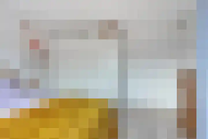 Bonningastrjitte 62 Oppenhuizen thumbnail 18