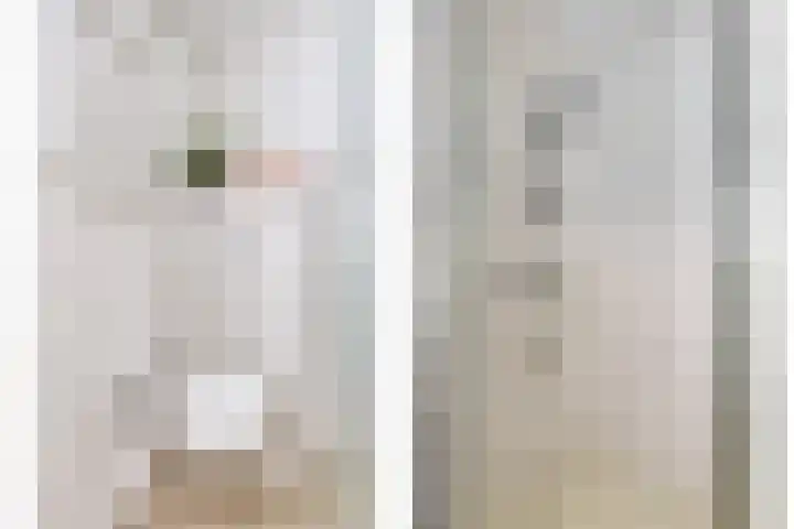 Bonningastrjitte 62 Oppenhuizen thumbnail 20
