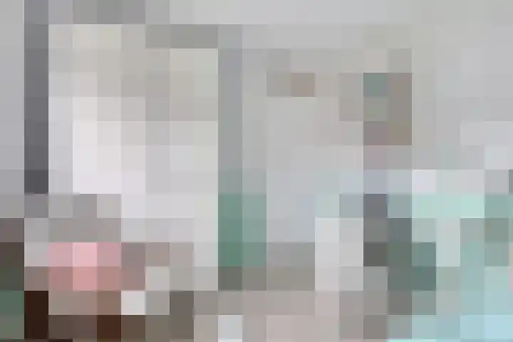 Bonningastrjitte 62 Oppenhuizen thumbnail 23