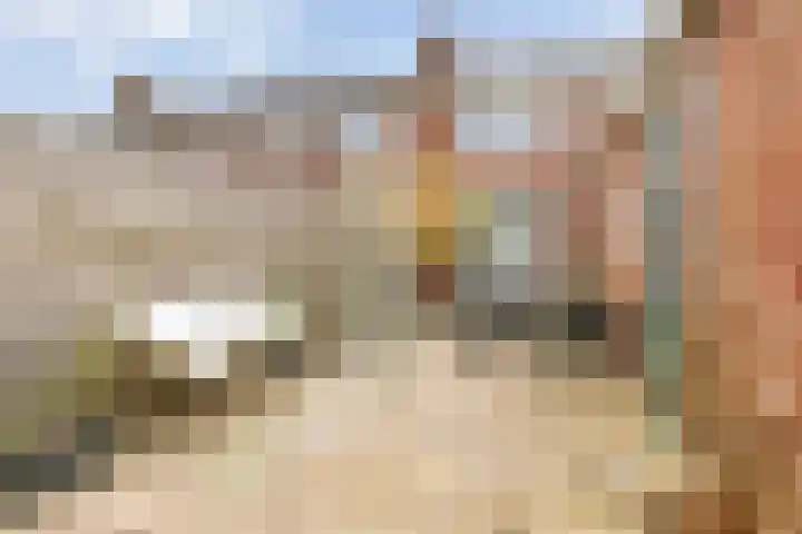 Bonningastrjitte 62 Oppenhuizen thumbnail 27