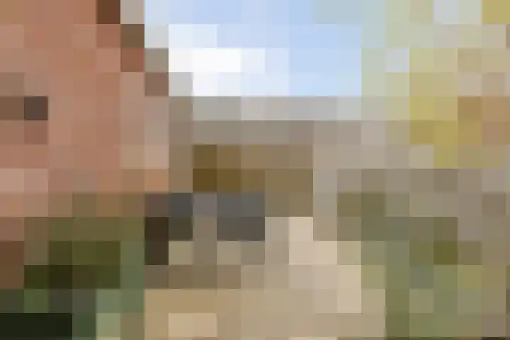 Bonningastrjitte 62 Oppenhuizen thumbnail 29