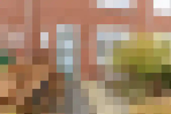 Bonningastrjitte 62 Oppenhuizen thumbnail 31