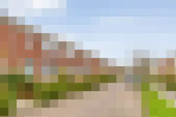 Bonningastrjitte 62 Oppenhuizen thumbnail 33