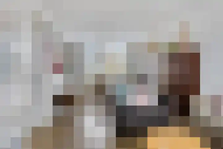 Bonningastrjitte 62 Oppenhuizen thumbnail 4
