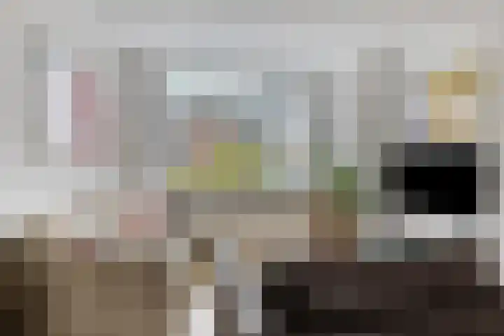 Bonningastrjitte 62 Oppenhuizen thumbnail 5