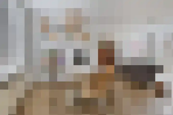 Bonningastrjitte 62 Oppenhuizen thumbnail 7