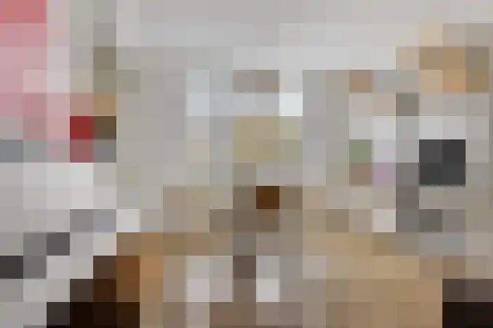 Bonningastrjitte 62 Oppenhuizen thumbnail 8