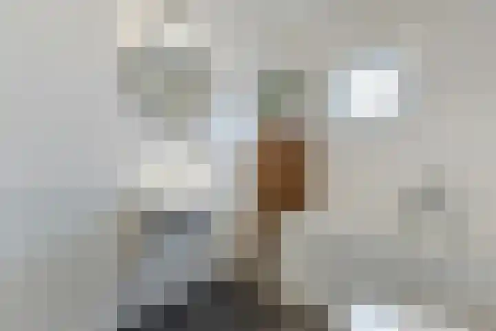 Bonoort 25 Broek op Langedijk thumbnail 23