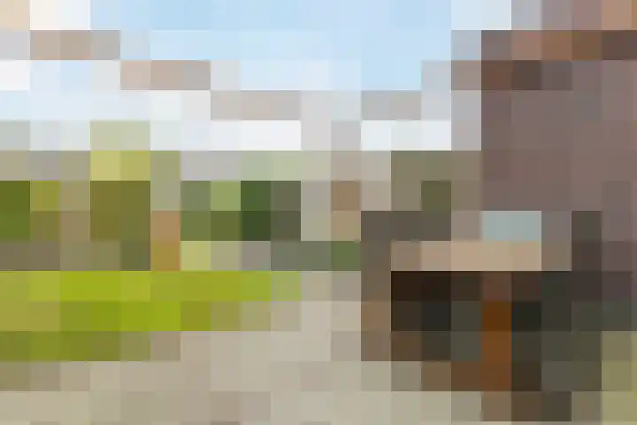 Bonoort 25 Broek op Langedijk thumbnail 30
