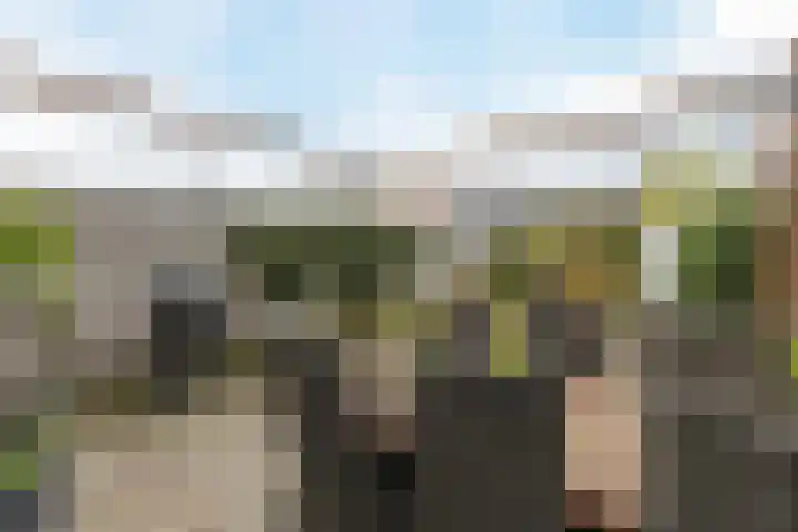 Bonoort 25 Broek op Langedijk thumbnail 31