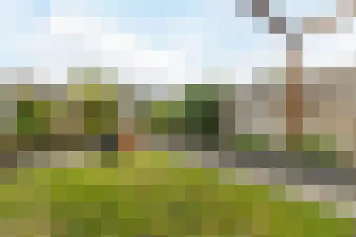 Bonoort 25 Broek op Langedijk thumbnail 32