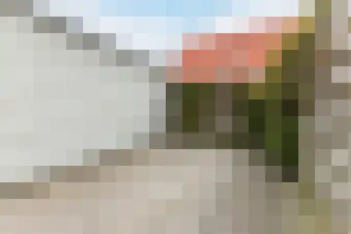 Bonoort 25 Broek op Langedijk thumbnail 33