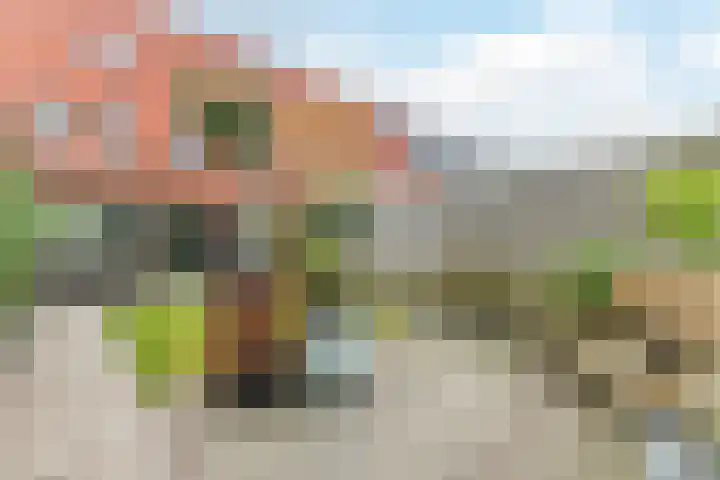 Bonoort 25 Broek op Langedijk thumbnail 34
