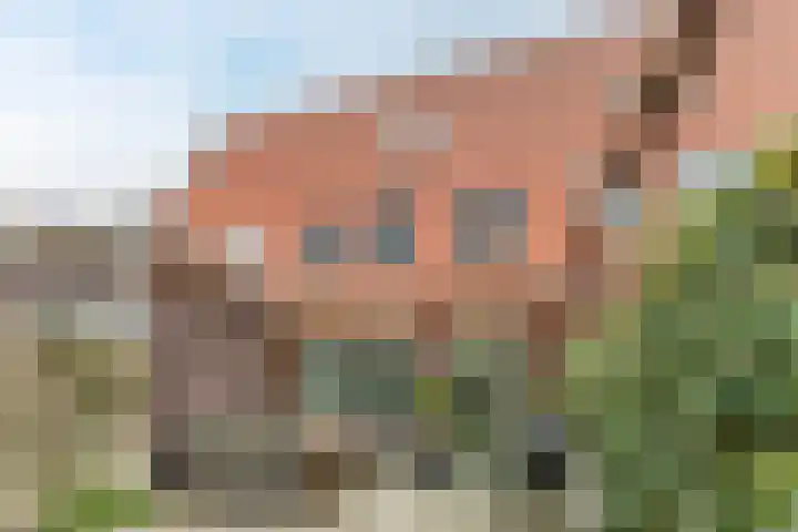 Bonoort 25 Broek op Langedijk thumbnail 35