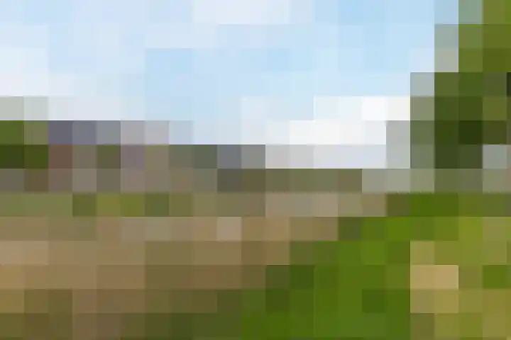Bonoort 25 Broek op Langedijk thumbnail 37