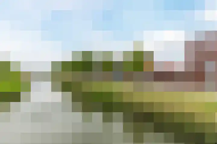 Bonoort 25 Broek op Langedijk thumbnail 39