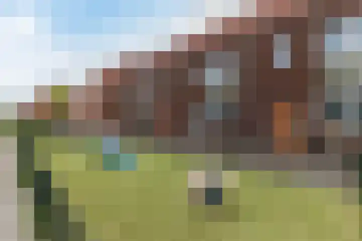 Bonoort 25 Broek op Langedijk thumbnail 40