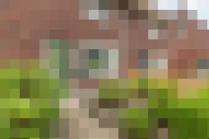 Bonoort 25 Broek op Langedijk thumbnail 42