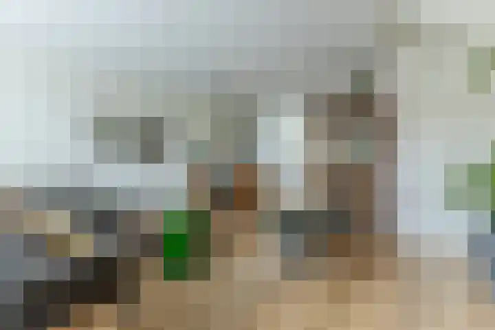 Bonoort 25 Broek op Langedijk thumbnail 5