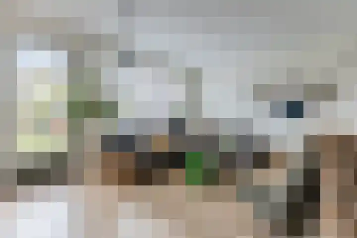 Bonoort 25 Broek op Langedijk thumbnail 6