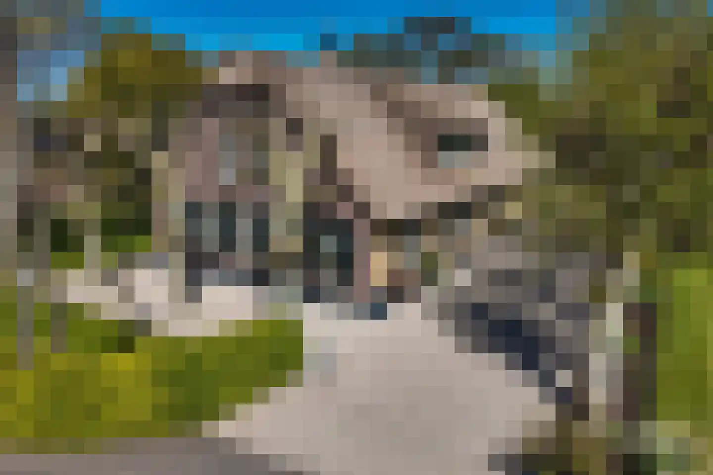 Bonrepas 8 in Vlist
