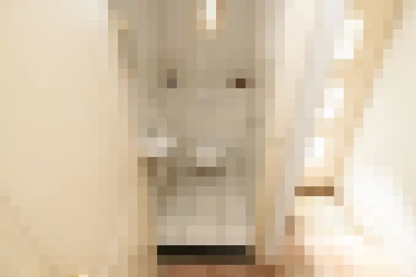 Bonrepas 8 Vlist thumbnail 15
