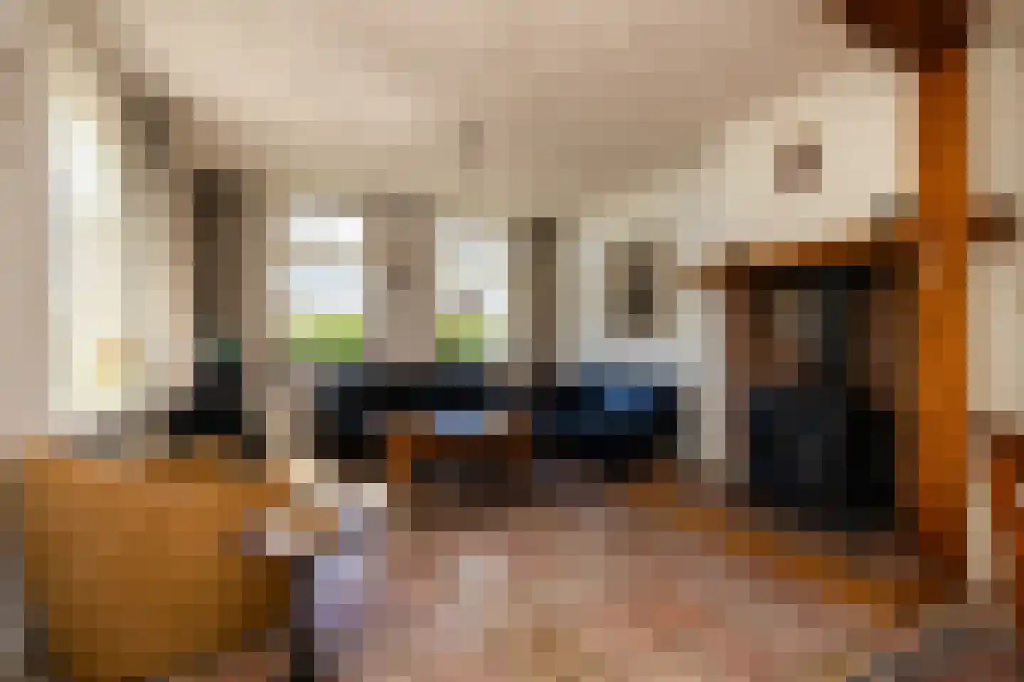 Bonrepas 8 Vlist thumbnail 19