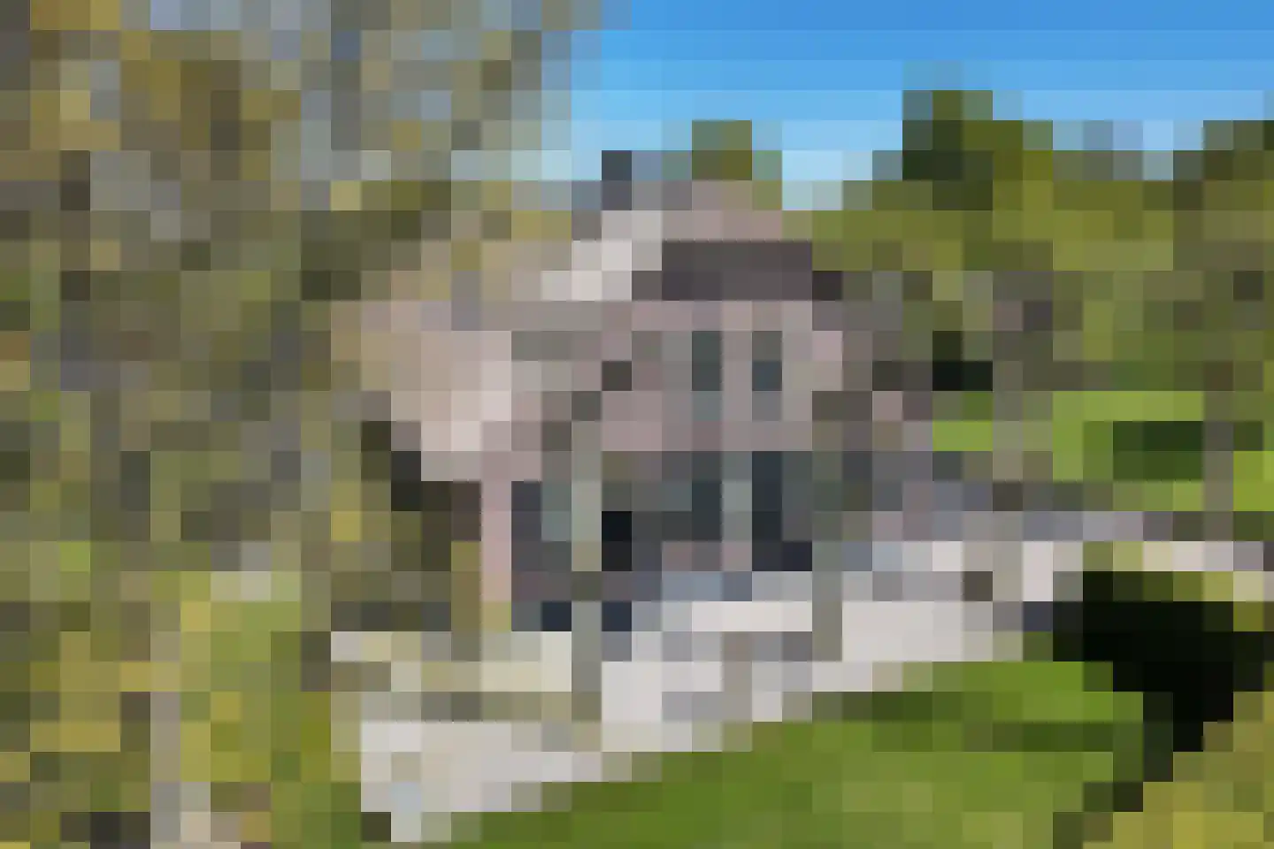 Bonrepas 8 Vlist foto 2