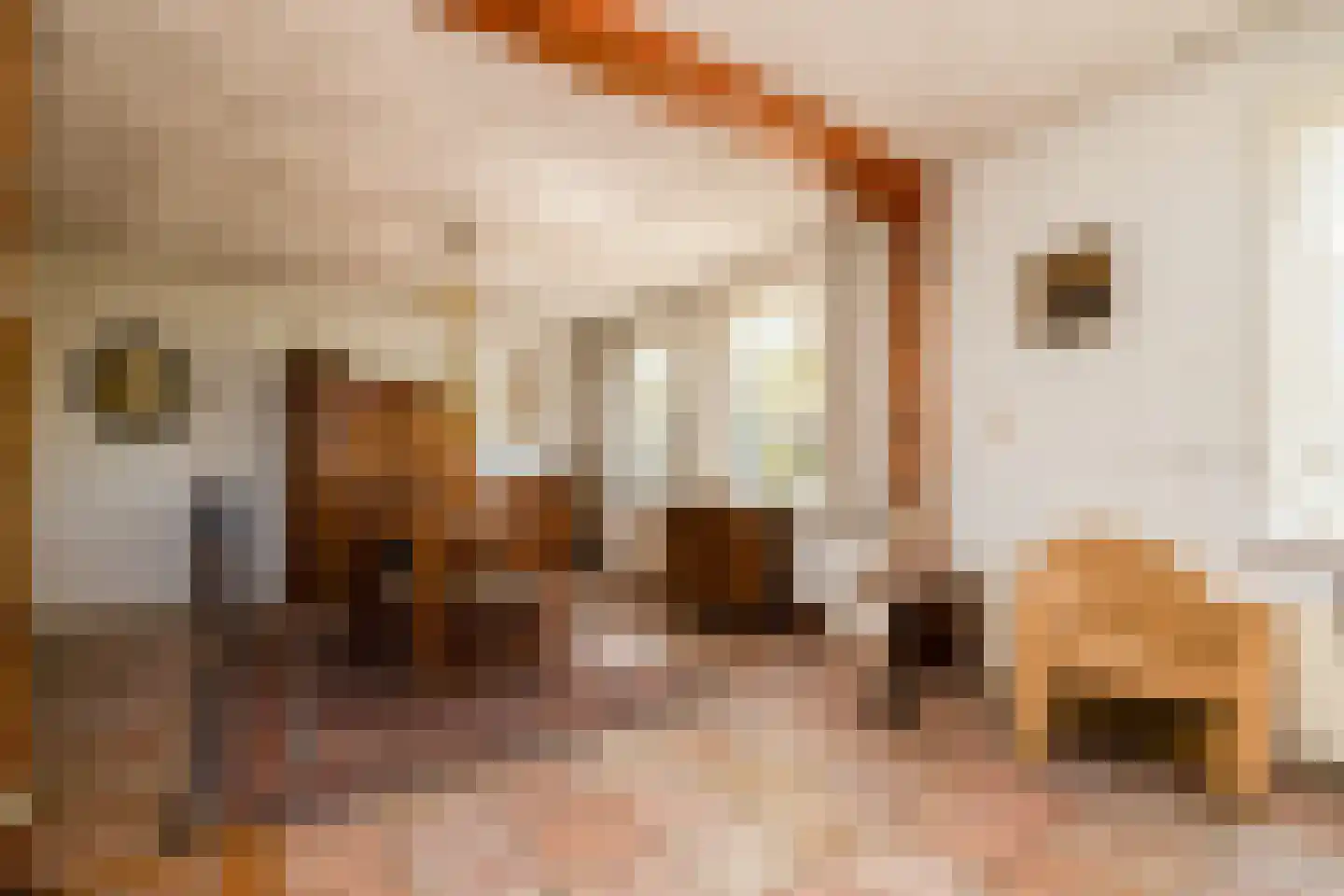 Bonrepas 8 Vlist thumbnail 21