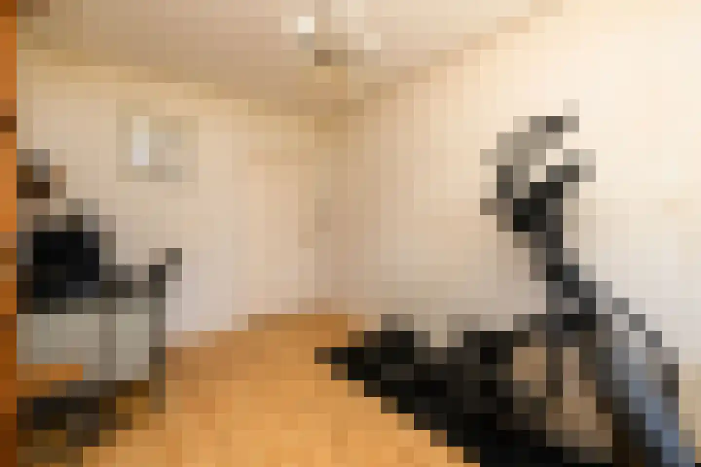 Bonrepas 8 Vlist thumbnail 25