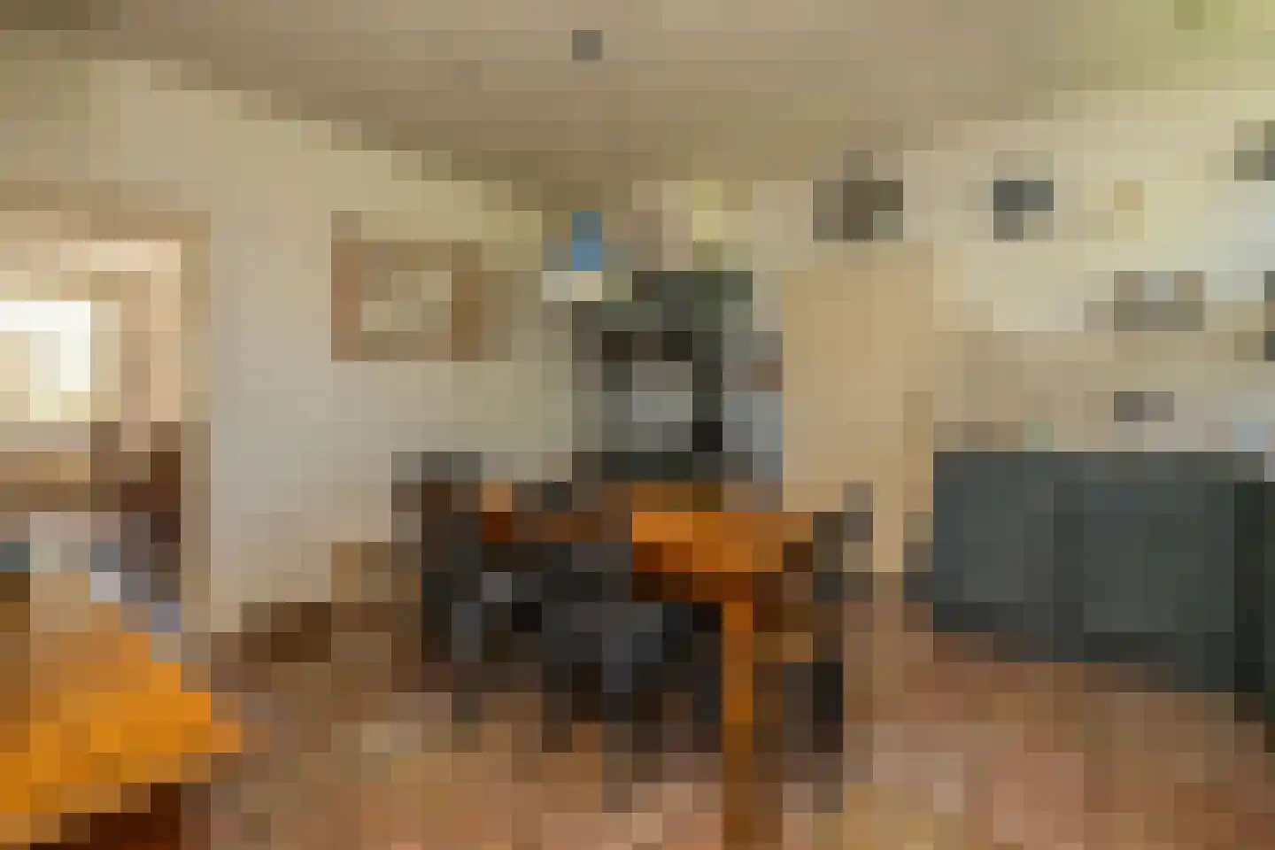 Bonrepas 8 Vlist thumbnail 29