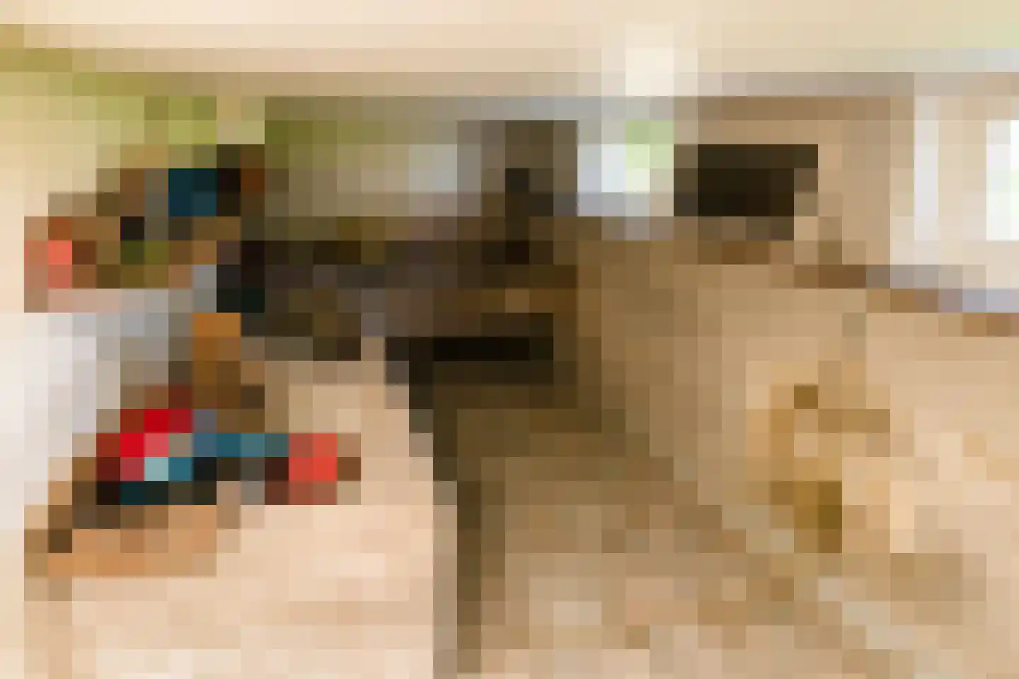 Bonrepas 8 Vlist thumbnail 30